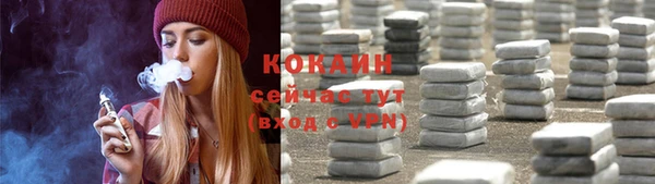 индика Аркадак