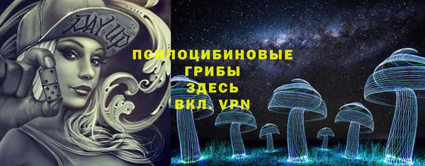 индика Аркадак