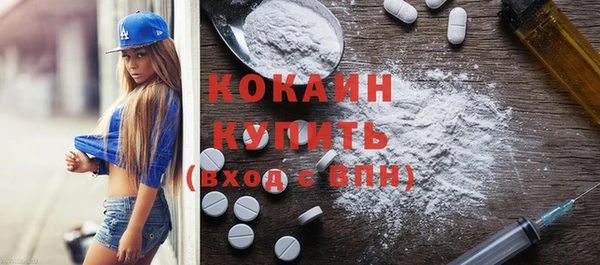 индика Аркадак