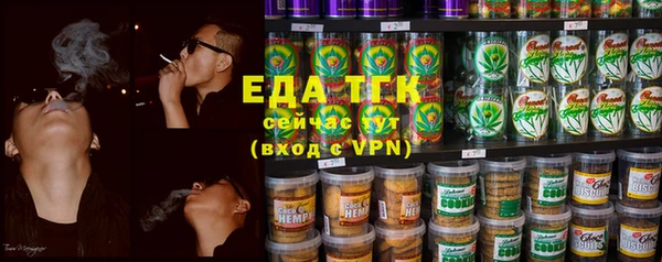 индика Аркадак