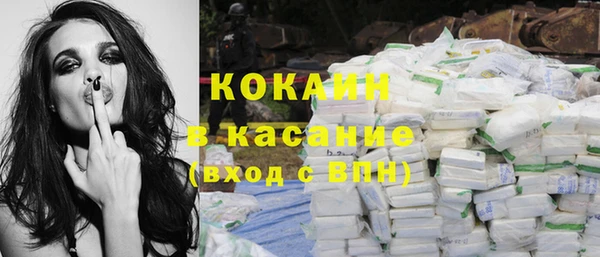 индика Аркадак