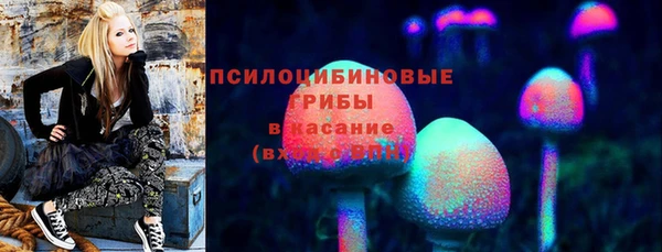 гидра Арсеньев