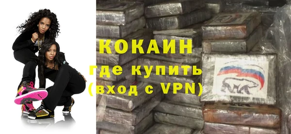 индика Аркадак