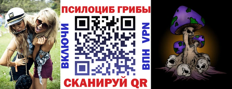 Галлюциногенные грибы ЛСД  дарнет шоп  Исилькуль 